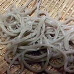 粟巣野04